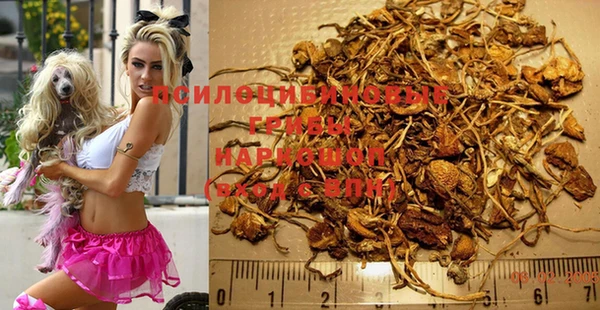 марки nbome Аркадак