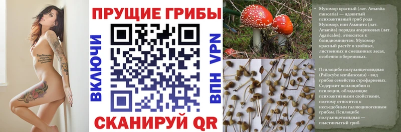 Галлюциногенные грибы Magic Shrooms  дарнет шоп  Саки 